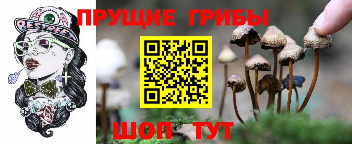 Галлюциногенные грибы MAGIC MUSHROOMS Лысьва